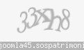 Codul de securitate