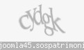 Codul de securitate