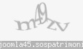Codul de securitate