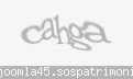 Codul de securitate