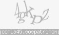 Codul de securitate