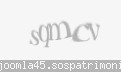 Codul de securitate