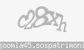 Codul de securitate
