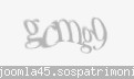 Codul de securitate