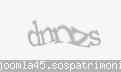 Codul de securitate