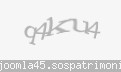 Codul de securitate