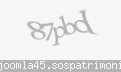 Codul de securitate