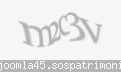 Codul de securitate