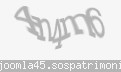 Codul de securitate