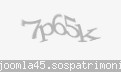Codul de securitate