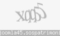 Codul de securitate