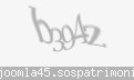 Codul de securitate