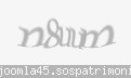 Codul de securitate