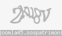 Codul de securitate