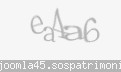 Codul de securitate