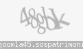 Codul de securitate