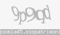 Codul de securitate
