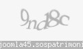 Codul de securitate