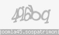 Codul de securitate