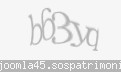 Codul de securitate