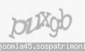 Codul de securitate