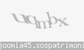 Codul de securitate