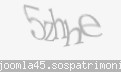 Codul de securitate