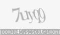 Codul de securitate
