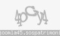 Codul de securitate