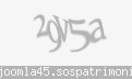 Codul de securitate