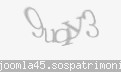 Codul de securitate