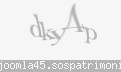 Codul de securitate