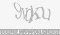 Codul de securitate
