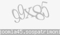 Codul de securitate