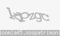Codul de securitate