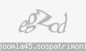 Codul de securitate