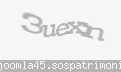 Codul de securitate