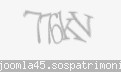 Codul de securitate