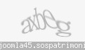 Codul de securitate