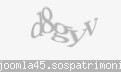 Codul de securitate