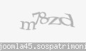 Codul de securitate