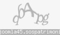 Codul de securitate