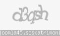 Codul de securitate