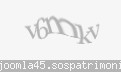 Codul de securitate