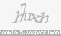 Codul de securitate