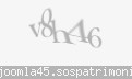 Codul de securitate