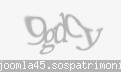 Codul de securitate