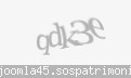 Codul de securitate
