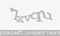 Codul de securitate