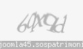 Codul de securitate